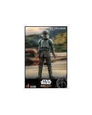 Transport Trooper Star Wars The Mandalorian Figura 1/6