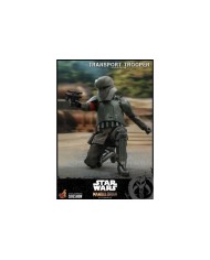 Transport Trooper Star Wars The Mandalorian Figura 1/6